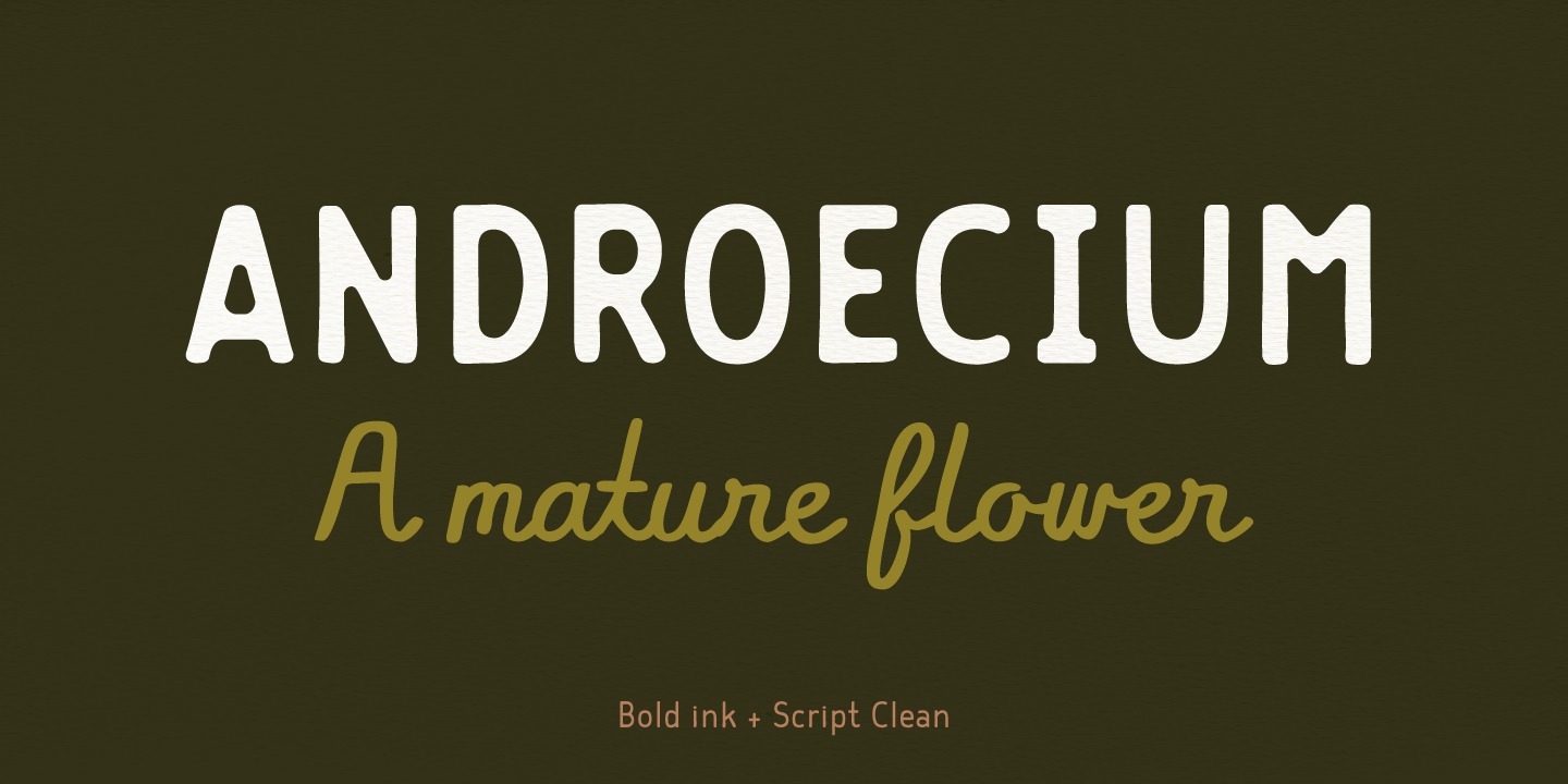 Przykład czcionki Flowy Sans Bold Clean Italic
